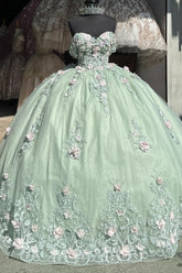 Mint Green Ball Gown Off-Shoulder Sleeveless Quinceanera Dress with 3D Flower Appliques & Pleated Tulle Skirt for Birthday & Special Occasions